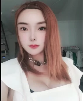 武汉硚口小猫咪