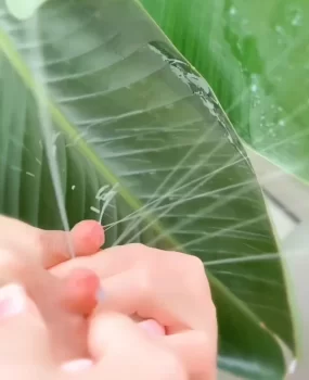 乳交哺乳期巨乳宝妈